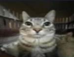 httpsaaron is cool