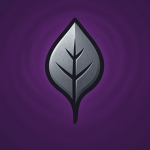 IronLeaf Studio