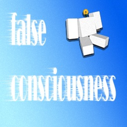 false consciousness