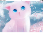 The cool cats group that I’m very nice