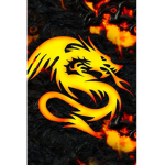 Thunder Spear Nation!
