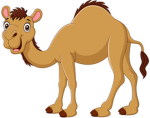 Studio CAMEL