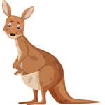 Kangaroo place