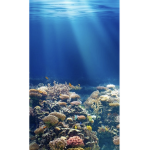 Ocean ~ squad