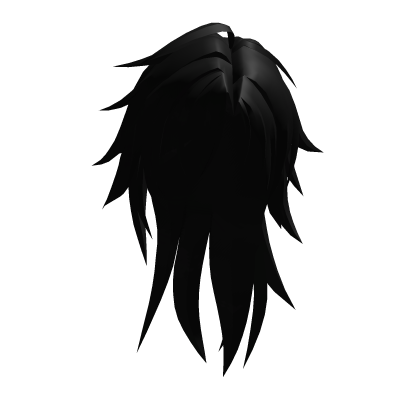 Long Black Middle Part Hair Roblox item