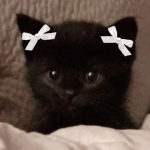Sad_fox