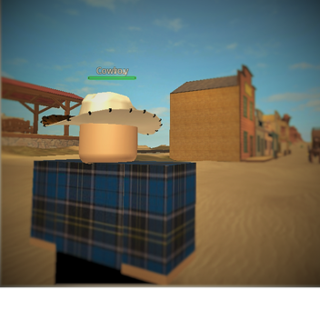 Life in the Wild West