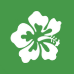 Hilo Ferries