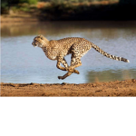 Going to fast