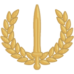Paramilitaries