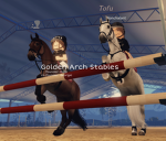 •| Golden Arch Stables |•