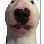 XxxxxRobuxxxxx