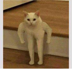 lol weeee
