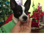 markitos