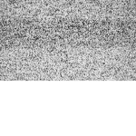 •tv krew•
