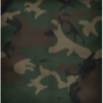 〈SPECIAL PROJECTS UNIT〉