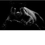 EMO BLACK CAT