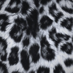 ⋆ ˚ ⭐︎ ｡ ⋆