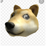 DOGE LEIGON R DA BEST