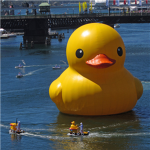 TEH EPIK DUCKZ UBB ROBLOXZ