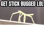 Get Stick Bugged Lol Official Group