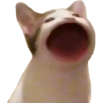 Belugapopcats