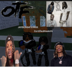 OTF 300 |Certified Tweakers|