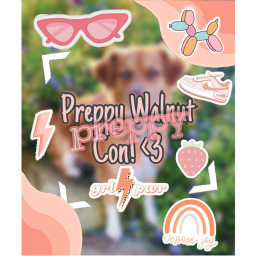 Preppy Walnut Con 🌺⚡️🐬
