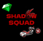 the shadow the hedgehog squad