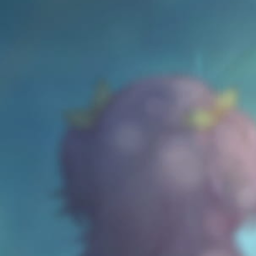 ✦