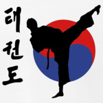 Taekowndo school