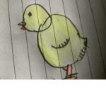 Sup chickens