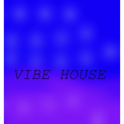 vibe house