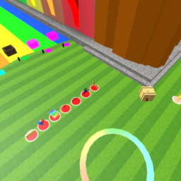 5 Player Race