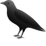 Raven Roblox Jr.