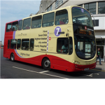 group of buses