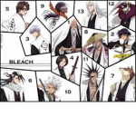 Bleach official Soul Reapers