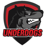 Team Underdogs(Project Inazuma)