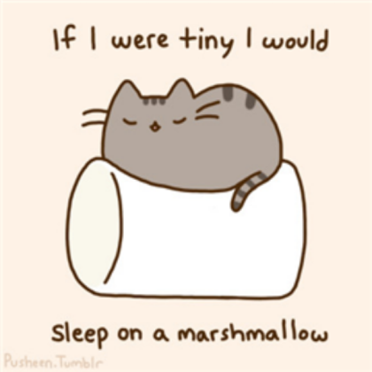 Pusheen Cat Roblox decal