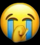 ROBLOX EXTREME FAN GROUP!