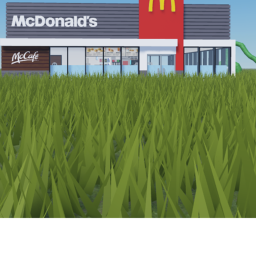 McDonalds but...