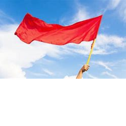 get the flag
