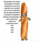 C@MS FAM