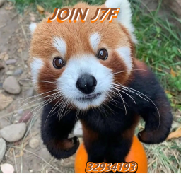 40%