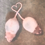 EmoRats<3
