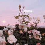 ~Moonlight Hangout~