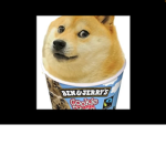 the DOGE BEN and JERRY