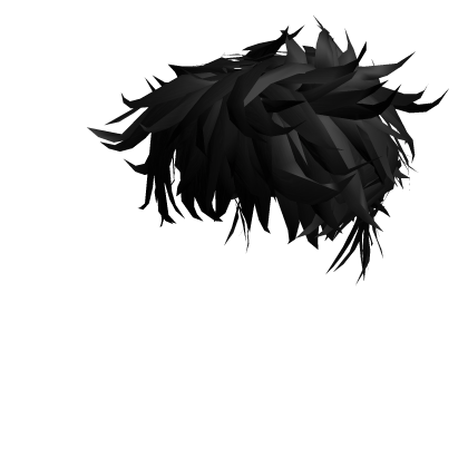 Mullet Black Roblox item