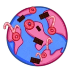 Unlock Candy Zone!