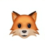 The Fire Foxes Group